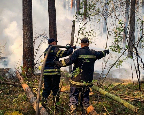 У Чорнобильській зоні п’ятий день гасять пожежу: що відомо 